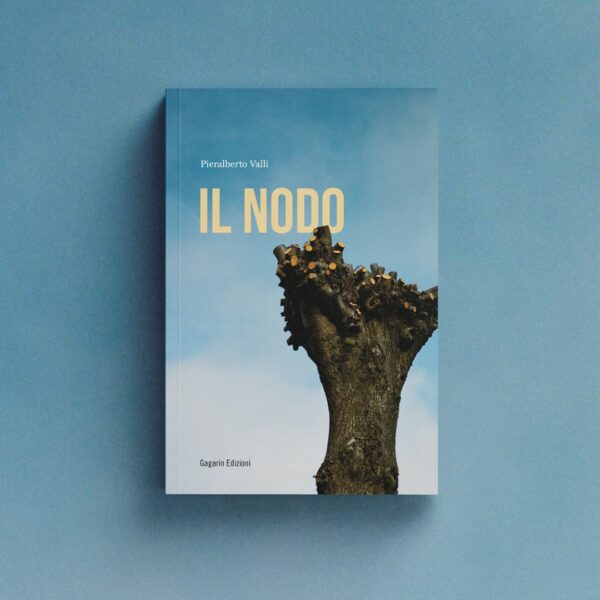 Pieralberto Valli - Il nodo