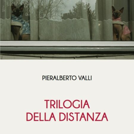 Pierlaberto Valli - Trilogia della distanza